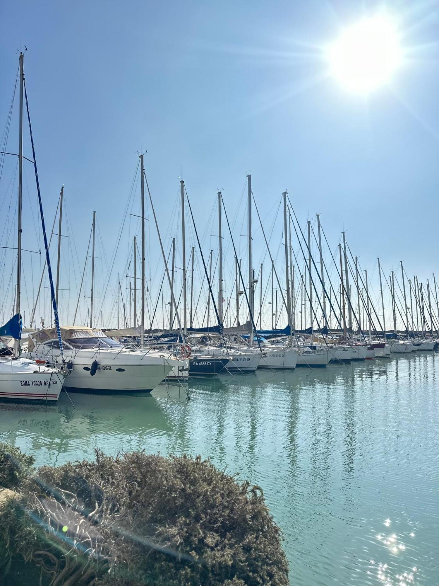 דירות לידו די אוסטיה Penthouse Salus Sea View Terrace מראה חיצוני תמונה
