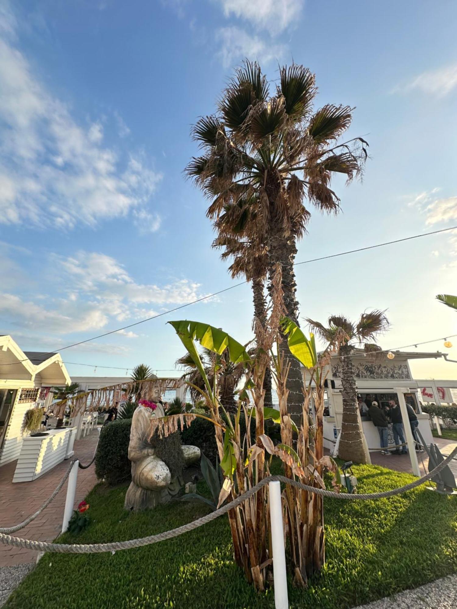 דירות לידו די אוסטיה Penthouse Salus Sea View Terrace מראה חיצוני תמונה