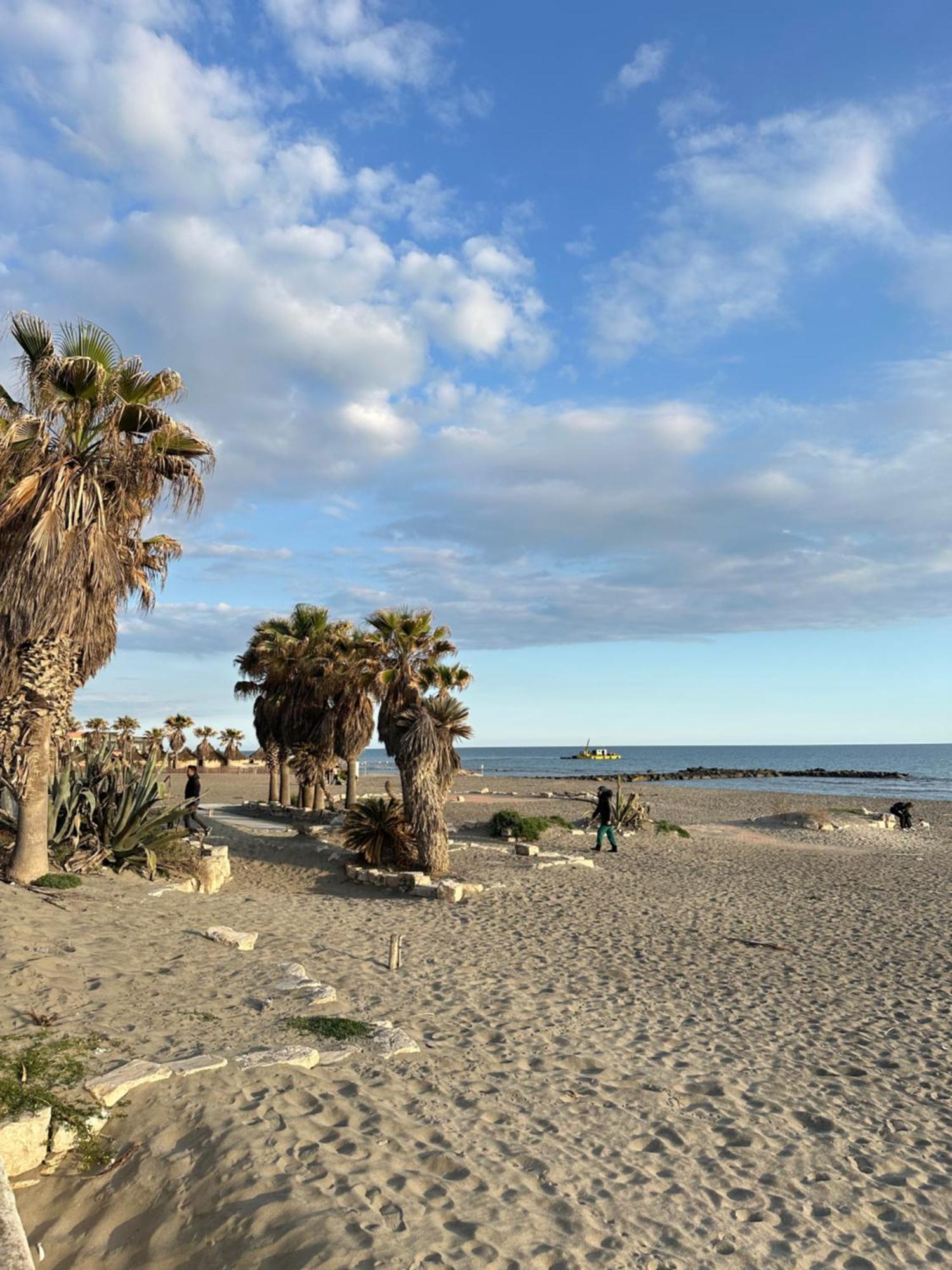 דירות לידו די אוסטיה Penthouse Salus Sea View Terrace מראה חיצוני תמונה